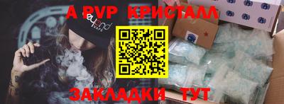 стафф Кингисепп