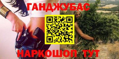 стафф Кингисепп