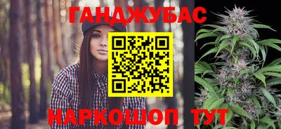 стафф Кингисепп
