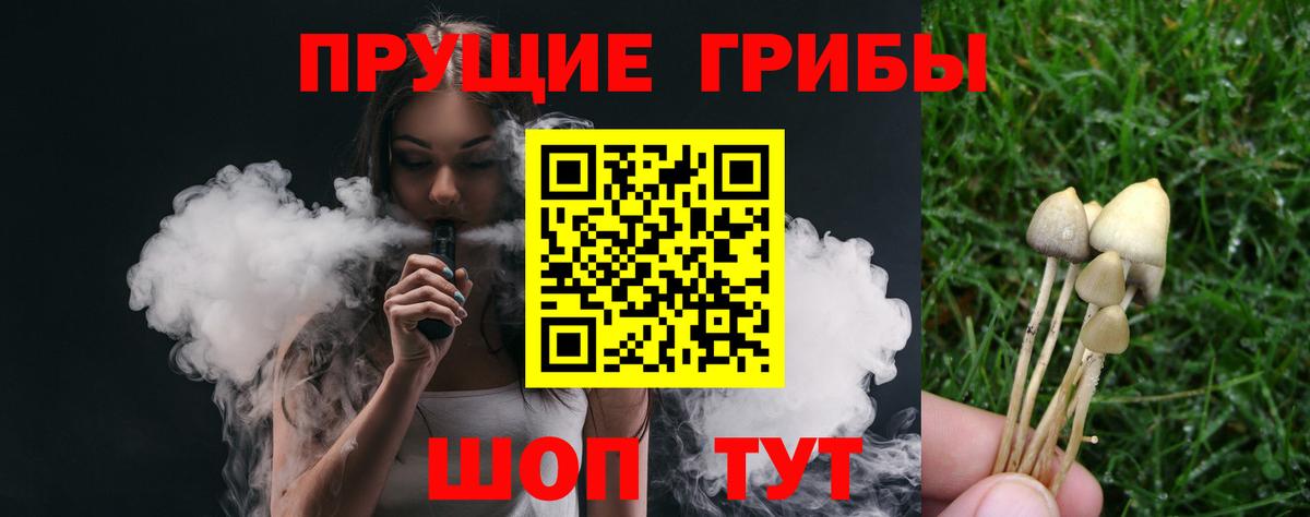 Псилоцибиновые грибы GOLDEN TEACHER Киселёвск