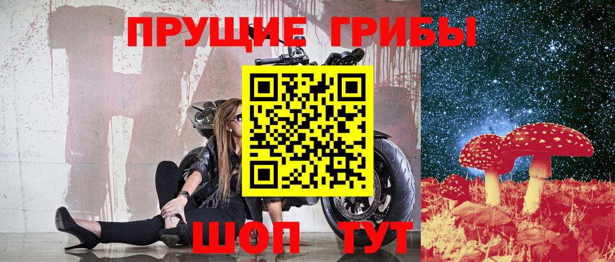 Киселёвск  Галлюциногенные грибы GOLDEN TEACHER  как найти наркотики  Вход с VPN  Псилоцибиновые грибы Psilocybine cubensis 
